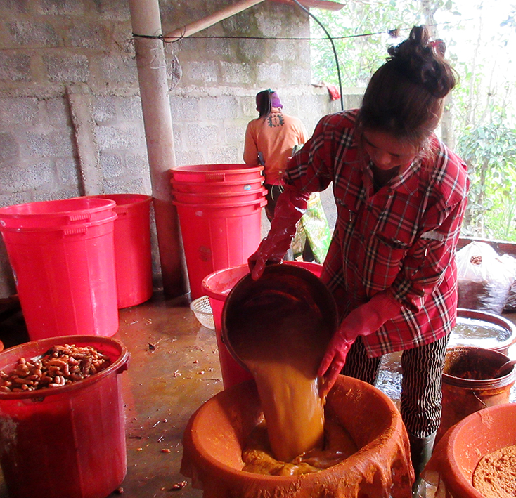 Tổ hợp tác chế biến tinh bột nghệ của phụ nữ xã Mai Thủy (Lệ Thủy) cho thu nhập ổn định.