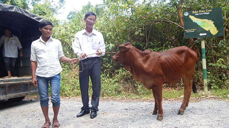 Đại diện lãnh đạo Ủy ban MTTQVN huyện Bố Trạch trao tặng bò giống cho hộ nghèo bản Rào Con (xã Sơn Trạch).