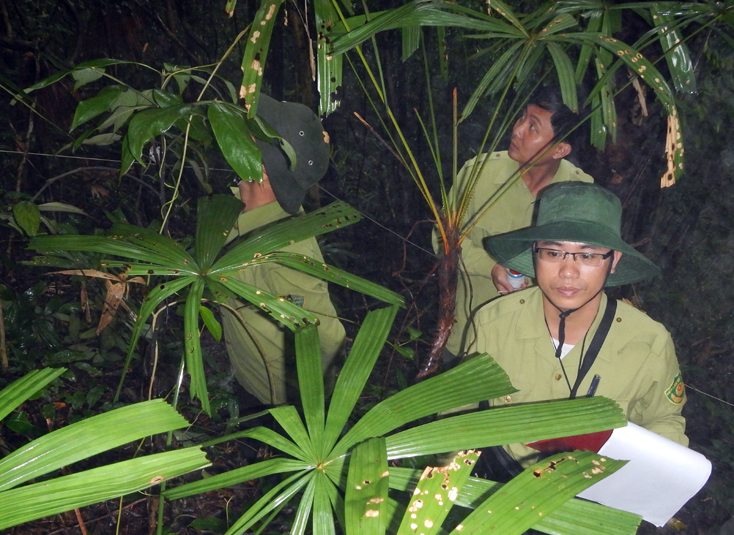 Cán bộ Kiểm lâm thường xuyên theo dõi diễn biến rừng trên toàn địa bàn.