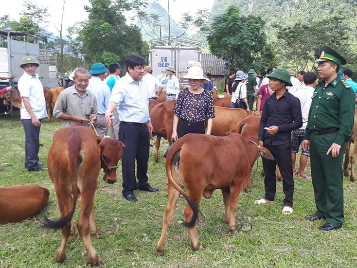 Đại diện Hội Nông dân tỉnh trao bò giống cho các hội viên nông dân là người Rục