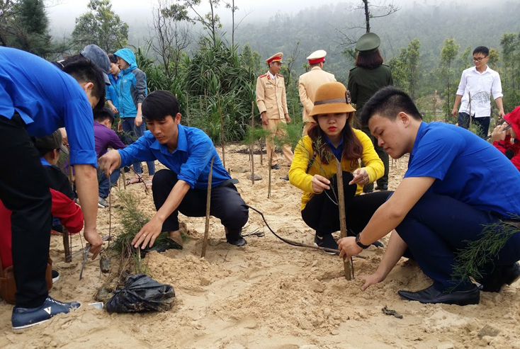 Tuổi trẻ Quảng Trạch tham gia trồng rừng ven biển để ngăn chặn nạn cát bay, cát chảy.