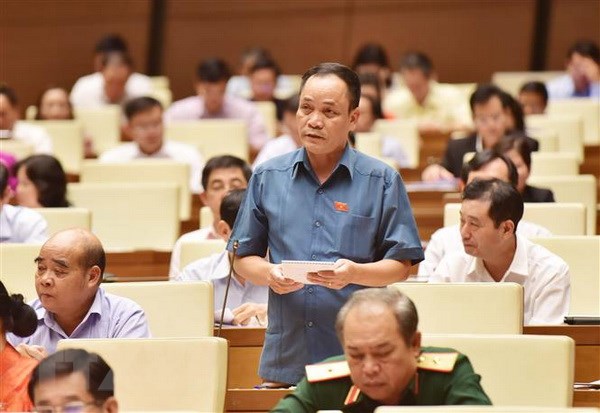 Đại biểu Quốc hội tỉnh Kon Tum Rơ Chăm Long phát biểu. (Ảnh: Lâm Khánh/TTXVN)