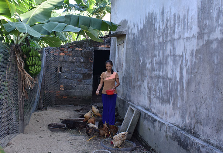 Gần15 năm nỗ lực phát triển kinh tế, gia đình chị Nguyễn Thị Liên đã thoát nghèo và có thu nhập ổn định từ mô hình kinh tế tổng hợp.