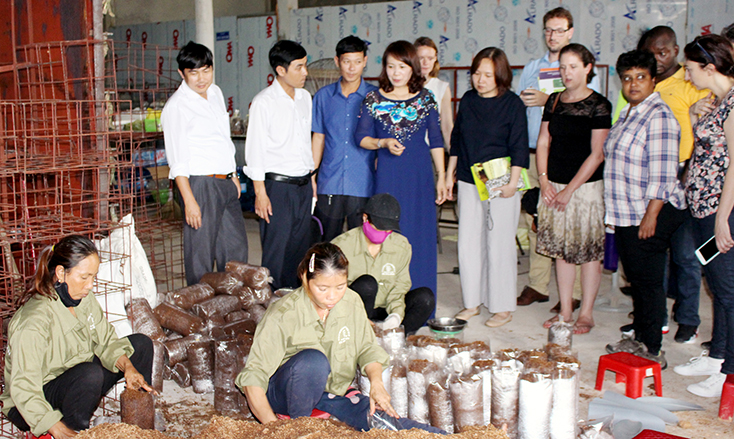 Các cán bộ dự án FLOW/EOWE tham quan mô hình sản xuất nấm sạch tại HTX sản xuất nấm sạch và kinh doanh nông nghiệp Tuấn Linh.