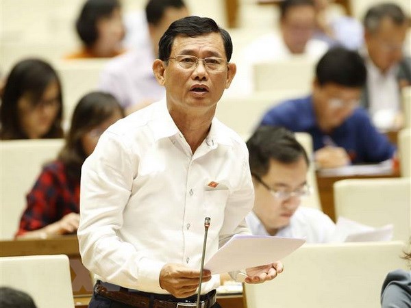 Đại biểu Quốc hội tỉnh Quảng Bình Nguyễn Ngọc Phương phát biểu ý kiến. (Ảnh: TTXVN)