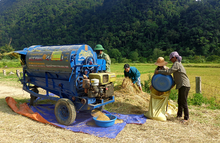 Bộ đội Biên phòng giúp bà con người Rục, xã Thượng Hoá, huyện Minh Hoá thu hoạch lúa nước.