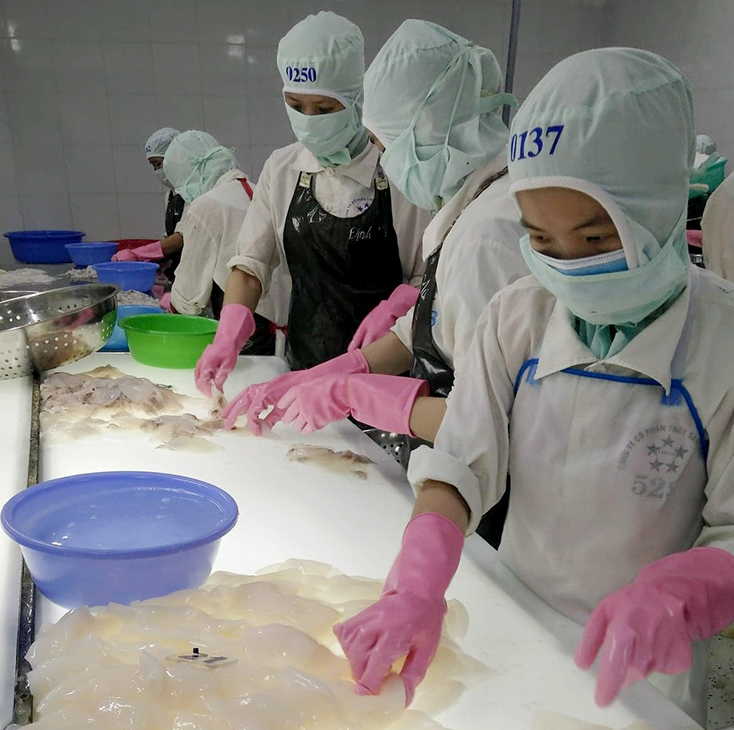Xây dựng chuỗi liên kết trong xuất khẩu thủy hải sản:  Nâng tầm thương hiệu Quảng Bình