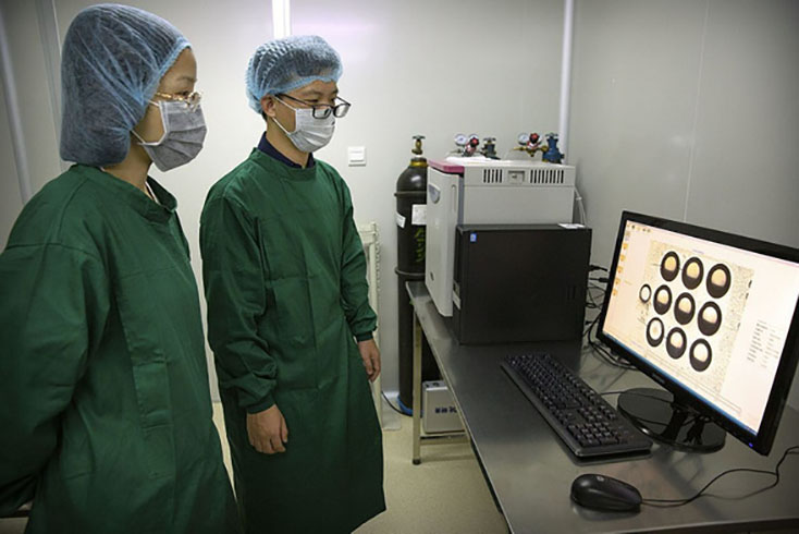 Chính phủ Trung Quốc lệnh tạm dừng nghiên cứu chỉnh sửa gen
