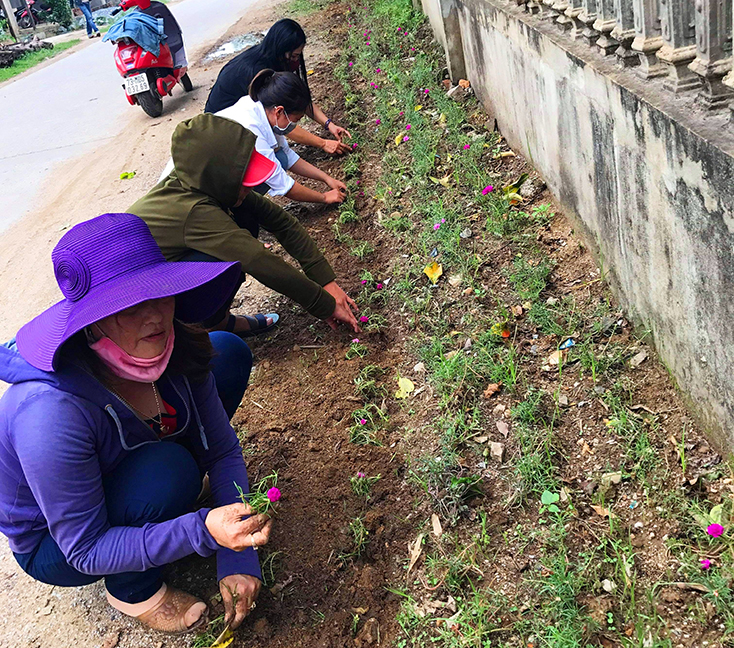 Hội viên phụ nữ xã Quảng Tân triển khai trồng hoa tại các tuyến đường.