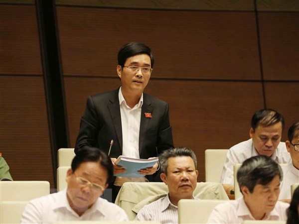 Đại biểu Quốc hội tỉnh Phú Thọ Hoàng Quang Hàm phát biểu.(Ảnh: Phương Hoa/TTXVN)