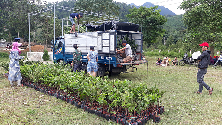 Hỗ trợ cây giống cho người dân ở xã Hóa Sơn (Minh Hóa).
