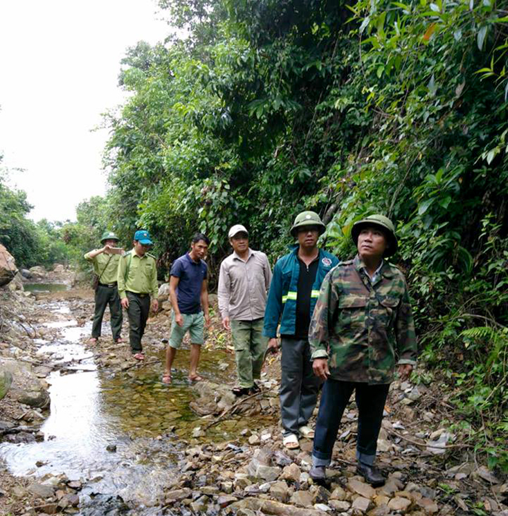 Kiểm lâm phối hợp với lực lượng bảo vệ rừng của HTX Tân Vĩnh Phát thường xuyên tuần tra bảo vệ rừng trên địa bàn xã Cao Quảng.  