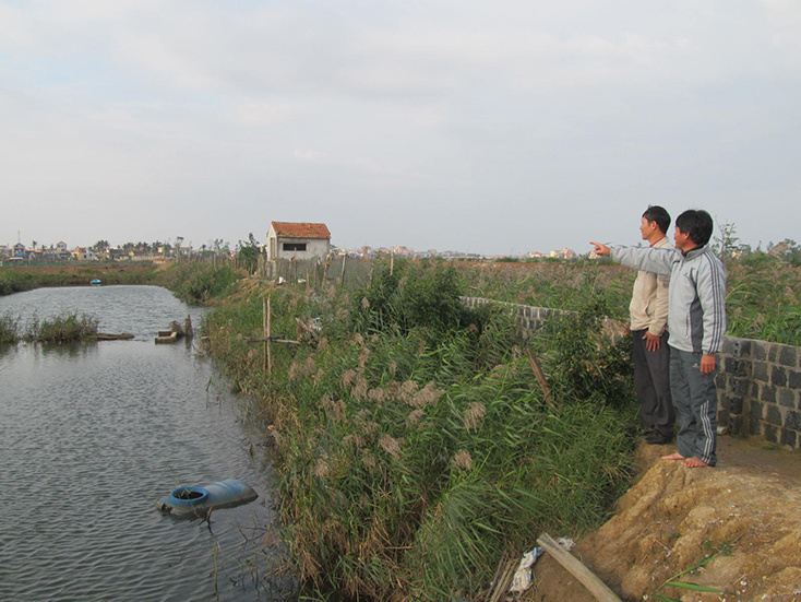 Phường Đức Ninh Đông tận dụng diện tích mặt nước xây dựng mô hình nuôi thủy sản mang lại hiệu quả kinh tế cao. 