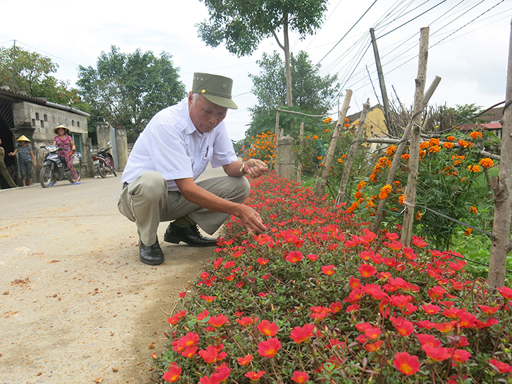 Ông Nguyễn Xuân Giang đang chăm sóc hoa bên đường.	
