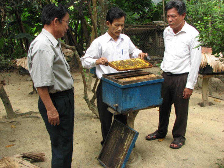 Một mô hình nuôi ong lấy mật tại Tuyên Hóa do Chương trình mục tiêu quốc gia giảm nghèo bền vững giai đoạn 2016-2020 hỗ trợ. 