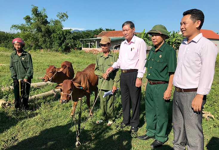 Đại diện lãnh đạo Hội CCB tỉnh trao bò giống sinh sản cho hội viên CCB có hoàn cảnh khó khăn.