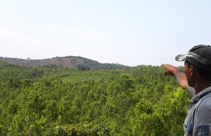 Người dân huyện Tuyên Hóa tham gia trồng rừng kinh tế.