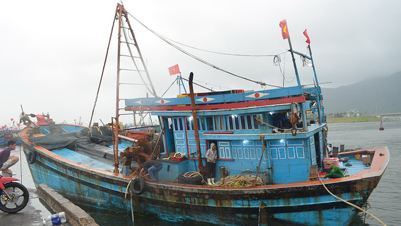 Từ 1-1-2019, tàu cá dài từ 6m trở lên phải xin giấy phép khai thác thủy sản. Trong ảnh: tàu cá cập bến âu tàu Thọ Quang (Đà Nẵng) - Ảnh: TẤN LỰC