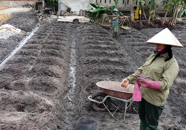Người dân xã Thanh Thủy làm đất để trồng lại khoai lang.