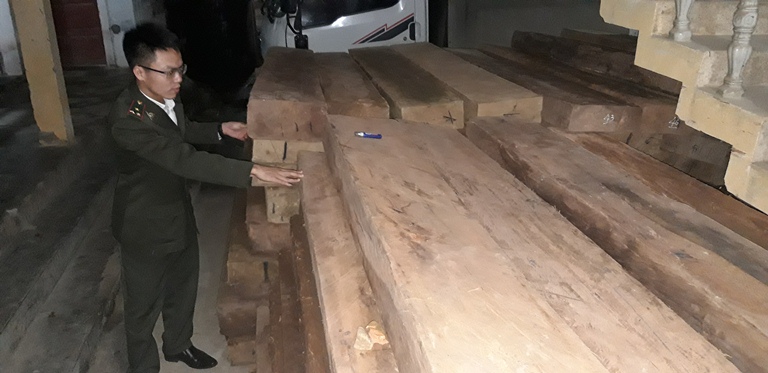 Tang vật của hai vụ vận chuyển gỗ lậu đang được tạm giữ tại Hạt kiểm lâm huyện Minh Hóa.
