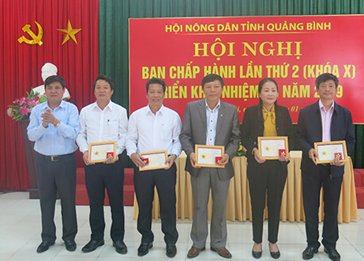Lãnh đạo Hội Nông dân tỉnh trao Kỷ niệm chương