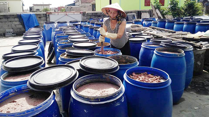 Chị Nguyễn Thị Duế luôn nỗ lực mở rộng thị trường tiêu thụ thủy sản của Quảng Bình.