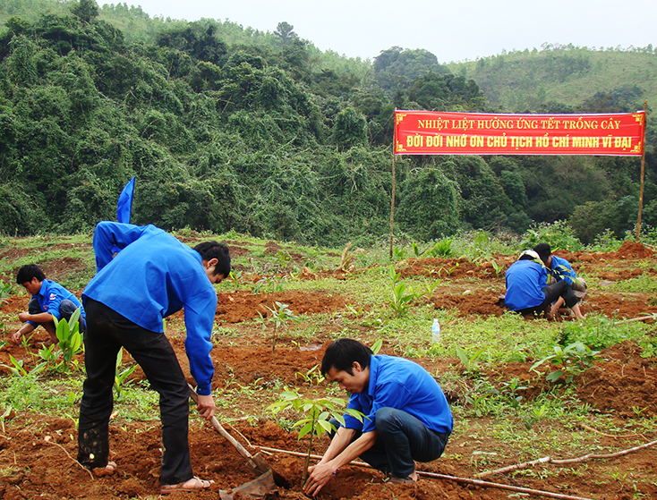 ĐVTN là một trong những lực lượng tích cực hưởng ứng phong trào Tết trồng cây.