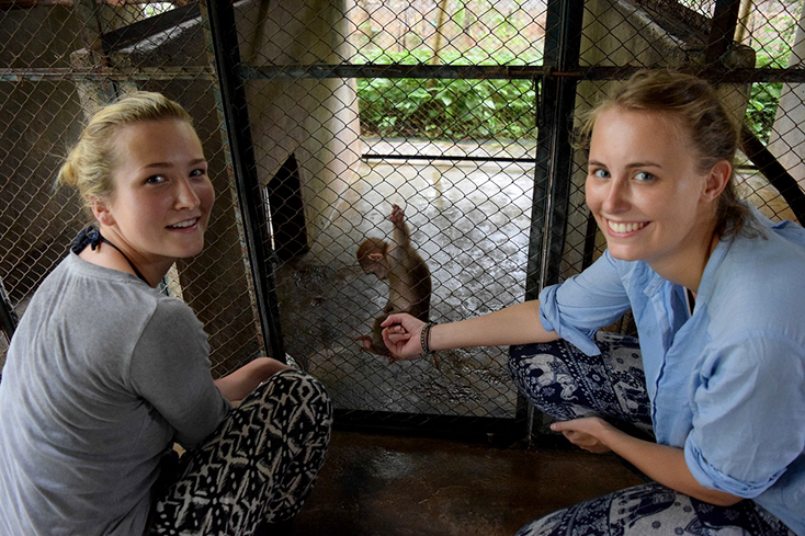 Du khách được tự tay chăm sóc những loại động vật hiện đang được nuôi dưỡng tại Trung tâm cứu hộ động vật hoang dã.