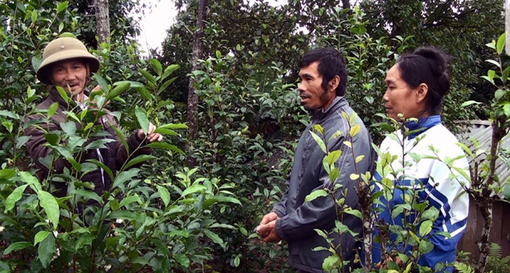 Ông Cao Văn Minh hướng dẫn bà con bản Lương Năng, xã Hóa Sơn các kỹ thuật trong phát triển kinh tế vườn đồi.
