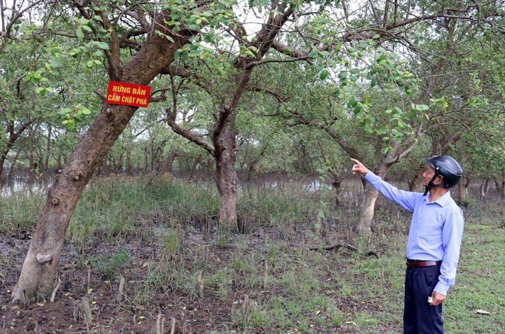 Việc tiến hành lắp đặt các biển báo cấm chặt phá nhằm ngăn chặn các hành vi phá hoại rừng bần ven sông.
