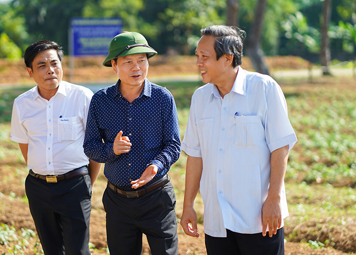 Đồng chí Bí thư Tỉnh ủy Hoàng Đăng Quang thăm mô hình trồng thử nghiệm sâm Bố Chính của Công ty Tuệ Lâm.  
