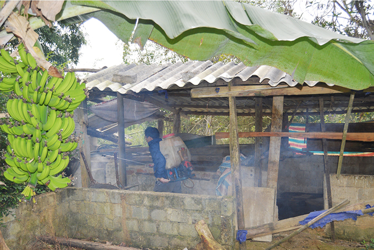 Phun thuốc tiêu độc, khử trùng phòng, chống dịch bệnh trên đàn gia súc ở xã Xuân Hóa.