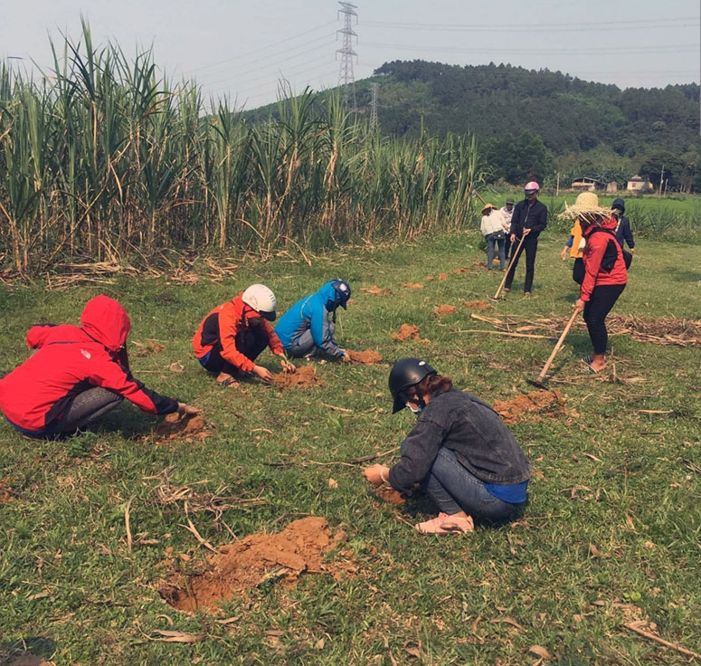 Đoàn viên thanh niên trồng 300 cây keo tại khu vực miếu cổ xã Trường Xuân, huyện Quảng Ninh.