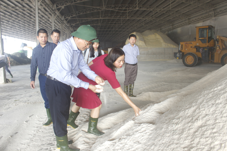 Đồng chí Lê Minh Ngân, Phó Chủ tịch UBND tỉnh kiểm tra chất lượng bột thức ăn tại Công ty TNHH Chăn nuôi Hòa Phát Quảng Bình.