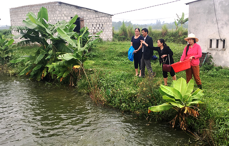 Mô hình trang trại VAC của chị Nguyễn Thị Thảo ở thôn Nam Nẫm, xã Cự Nẫm cho thu nhập hơn 100 triệu đồng/năm.