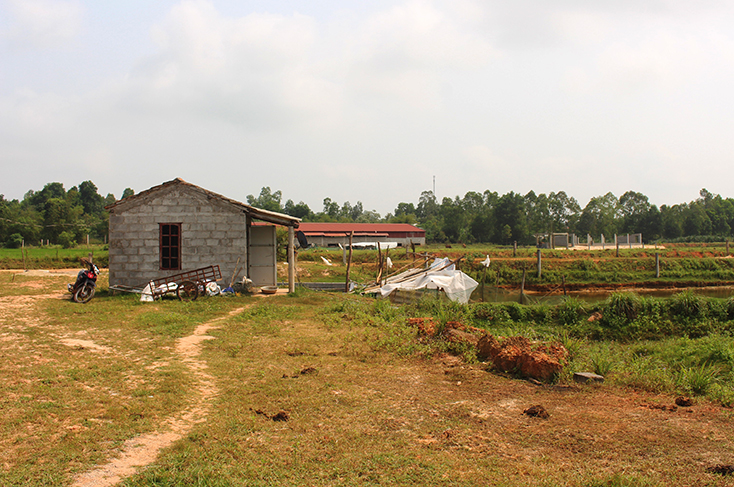 Một số trang trại chăn nuôi của xã Vạn Ninh được quy hoạch xa khu dân cư, tạo điều kiện thuận lợi trong công tác phòng, chống dịch bệnh.