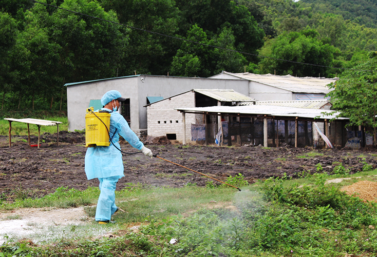 Các hộ chăn nuôi ở xã Quảng Tiên (TX. Ba Đồn) tiến hành phun tiêu độc khử trùng toàn bộ trang trại.
