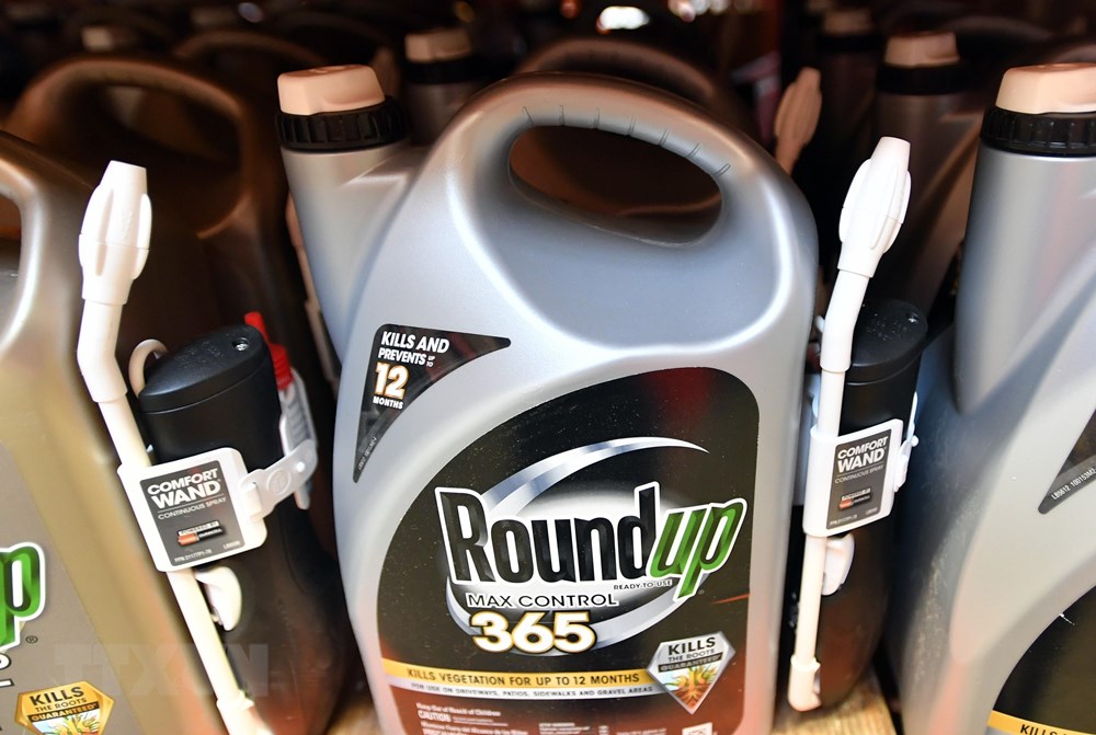  Thuốc diệt cỏ Roundup được bày bán tại cửa hàng ở San Rafael, California, Mỹ, ngày 9/7/2018. (Ảnh: AFP/TTXVN)