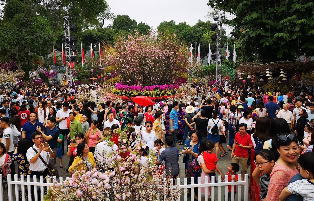 Người dân và du khách tham quan, thưởng lãm hoa anh đào tại không gian lễ hội trong ngày 31/3/2019. (Ảnh: Thanh Tùng/TTXVN)