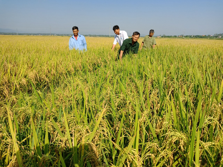 Nỗ lực trong phát triển kinh tế, người dân Bố Trạch đóng góp trên 25 tỷ đồng xây dựng NTM