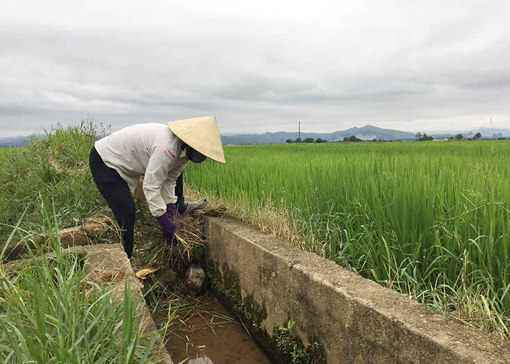 Nông dân xã An Thủy (huyện Lệ Thủy) nạo vét kênh mương nội đồng.