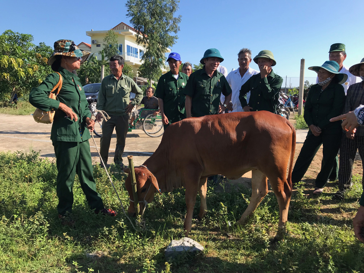 Hộ nghèo, có hoàn cảnh khó khăn của huyện Bố Trạch được hỗ trợ bò giống sinh sản để thoát nghèo bền vững
