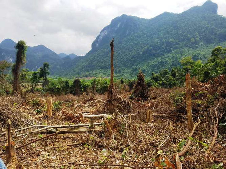 Diện tích rừng bị chặt phá tại khu vực đèo Đá Đẻo, xã Xuân Trạch.