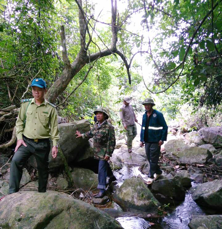 Công tác bảo vệ rừng trên địa bàn tỉnh vẫn còn nhiều thách thức.