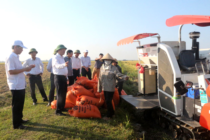 Đồng chí Lê Minh Ngân, Phó Chủ tịch UBND tỉnh kiểm tra tình hình sản xuất tại xã An Ninh, huyện Quảng Ninh.