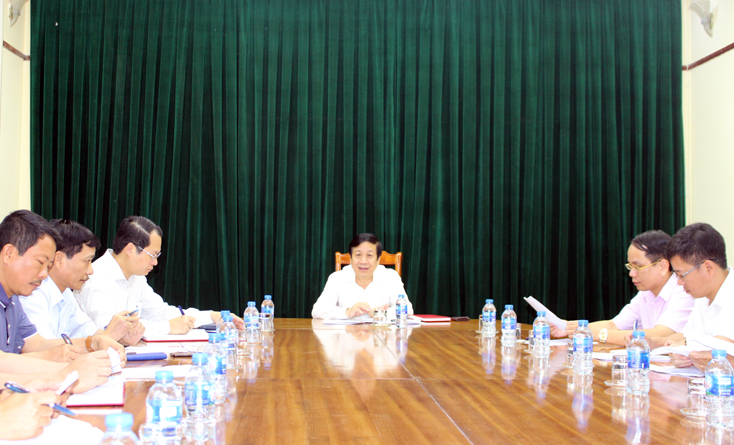 Đồng chí Nguyễn Xuân Quang, Phó Chủ tịch Thường trực UBND tỉnh phát biểu chỉ đạo tại cuộc họp.