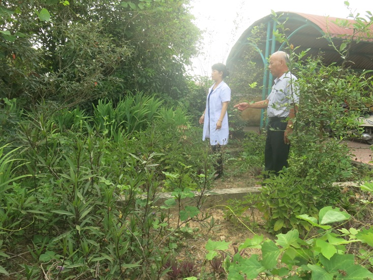 Ông Vũ Xuân Đinh đang hướng dẫn cán bộ Trạm y tế xã Liên Thủy trồng, chăm sóc vườn thuốc nam.