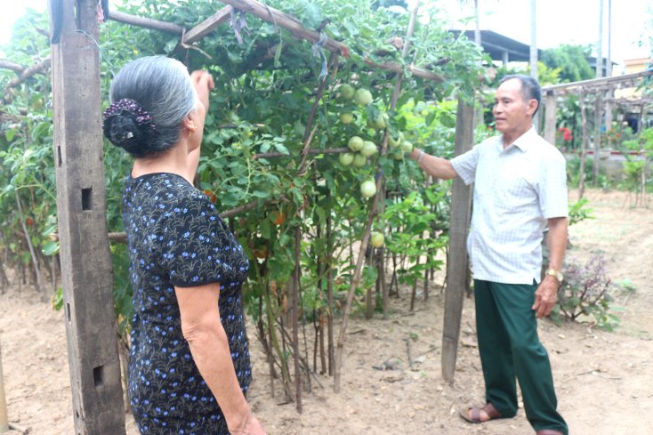 Mô hình vườn mẫu của gia đình ông Nguyễn Hữu Trọng sẽ được nhân rộng trong toàn thôn Lộc Long.