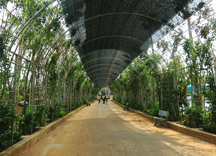 Khu du lịch sinh thái Sơn Phước phát triển theo hướng gắn nông nghiệp với du lịch.
