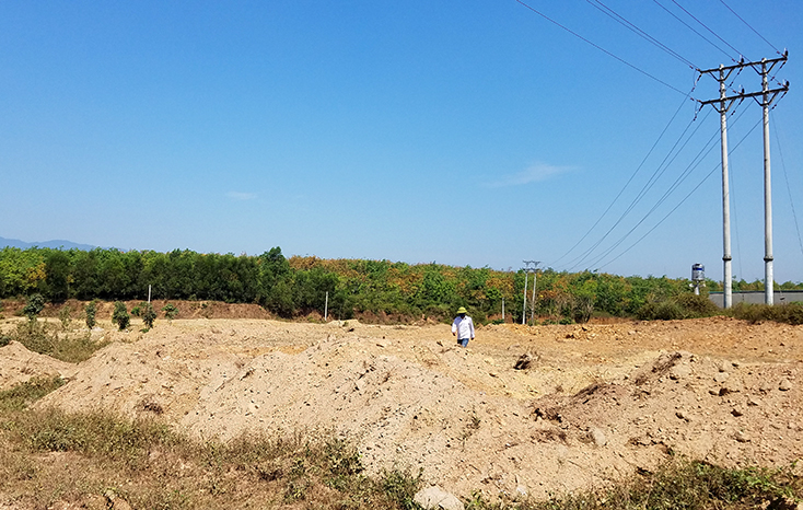 Khu vực đất vốn trồng keo tràm của Lâm trường Đồng Hới bị ông Nguyễn Văn Công san ủi đất trái phép.